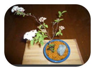 長い公園の写真