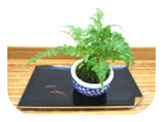 長い公園の写真