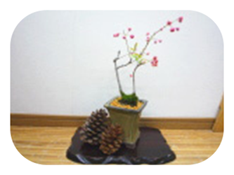 長い公園の写真