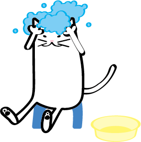 シャンプー猫